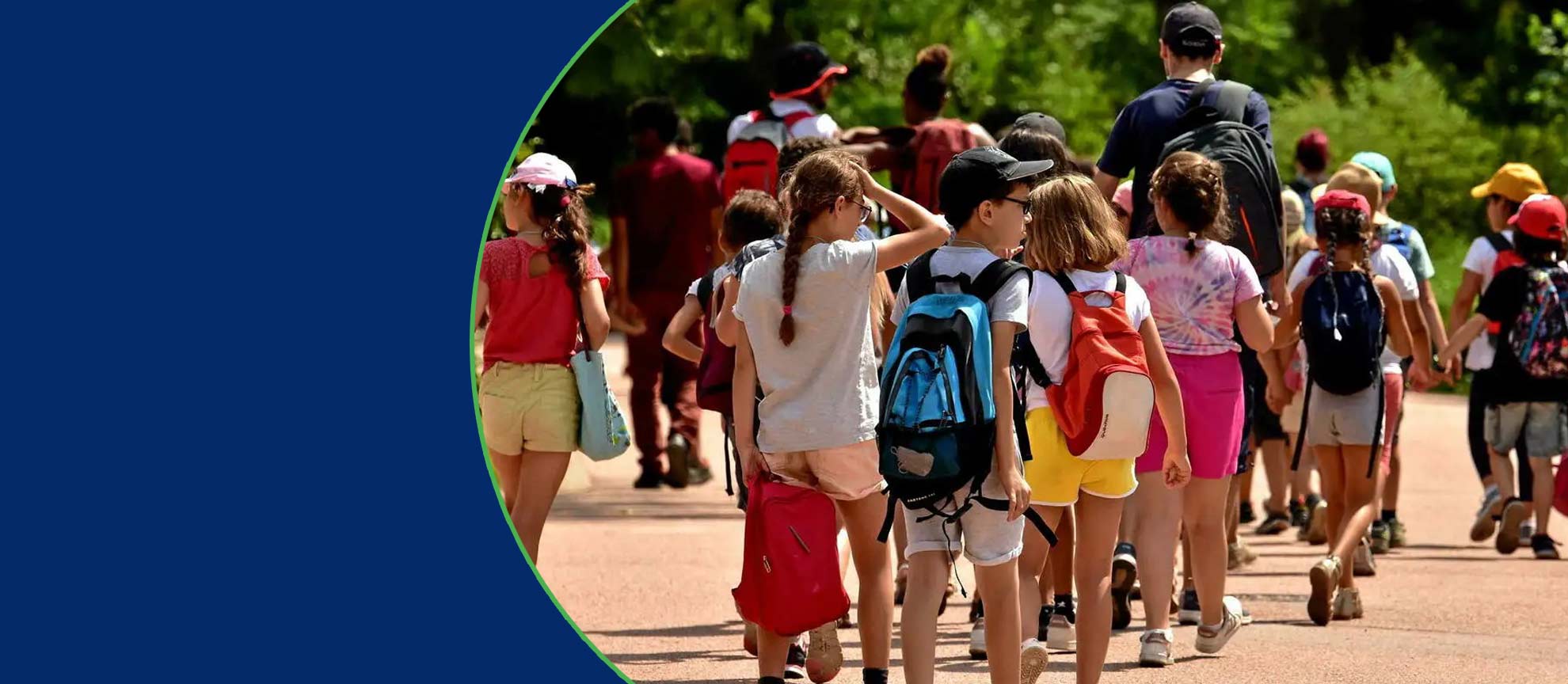 Koala summer camps and track out